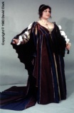 CC01-H-01a: Parti-Colored Italian Renaissance Court Gown