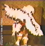 CC04-H-20c: War Eagle (American Indian)