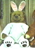 CC08-DC-19: Bear's Bunny Suit for Easter