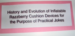 CC26-MS-03a: History and Evolution of Inflatable Razzberry Cushion Devices