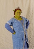 CC28-SF-13a: Princess Fiona