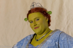 CC28-SF-13c: Princess Fiona