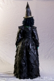 CC32-H-11g3: Miss Oz Pageant - Wicked Witch