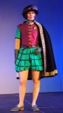 CC37-H-06d: Robin with Green Sleeves